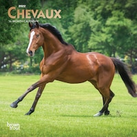 2022 Mini Calendar Horses (in French)