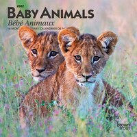 2022 Mini Calendar Baby Animals (bilingual)