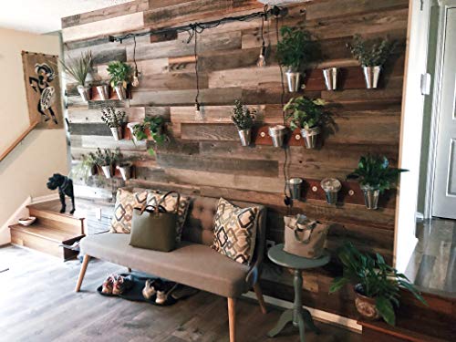 Plank and Mill - Reclaimed Barn Wood Wall Panels - Simple Peel and Stick Planks for Accent Walls, Kitchens, and Other Projects - 10 Square Feet of 5
