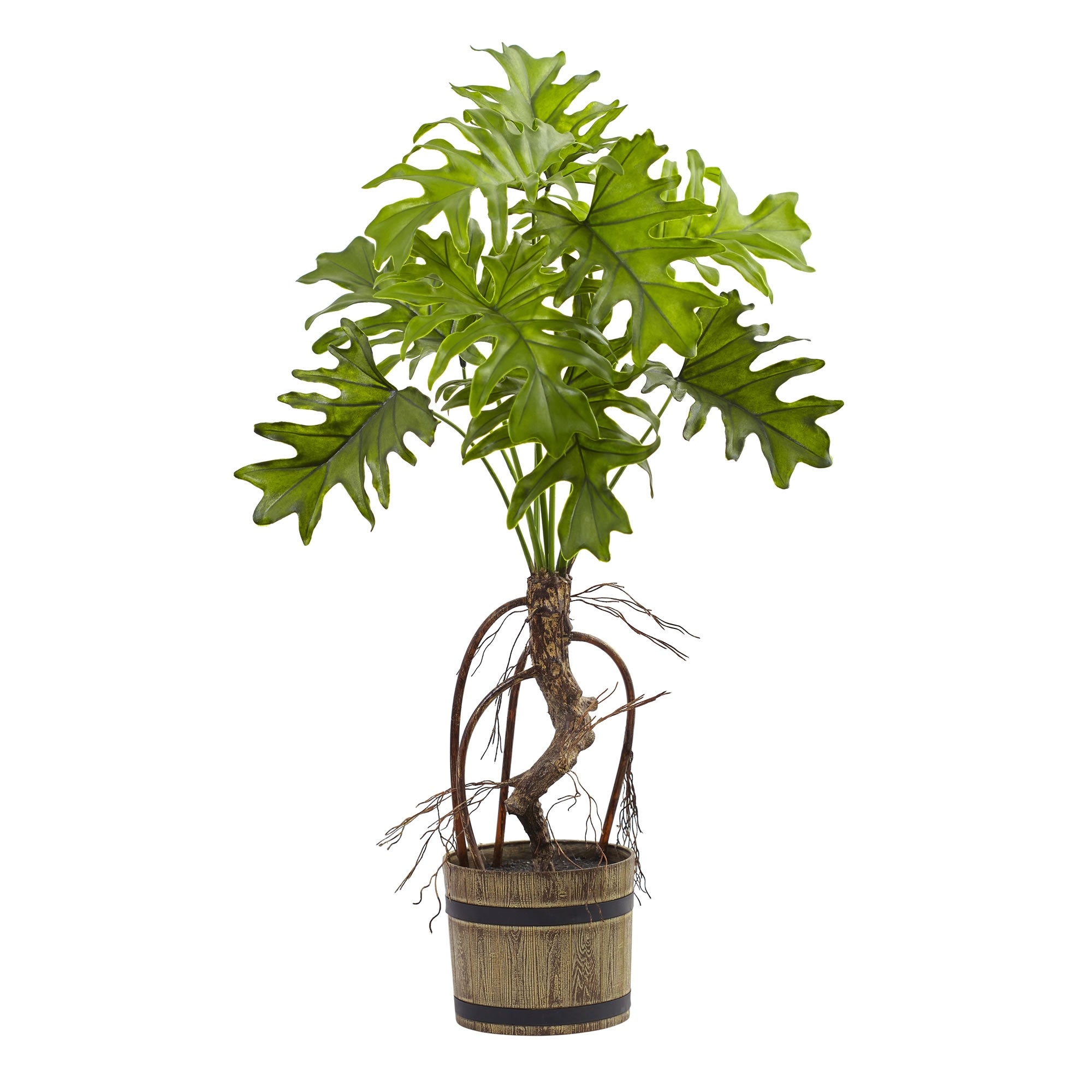 Split Philo Plant W/Bucket Planter - 27