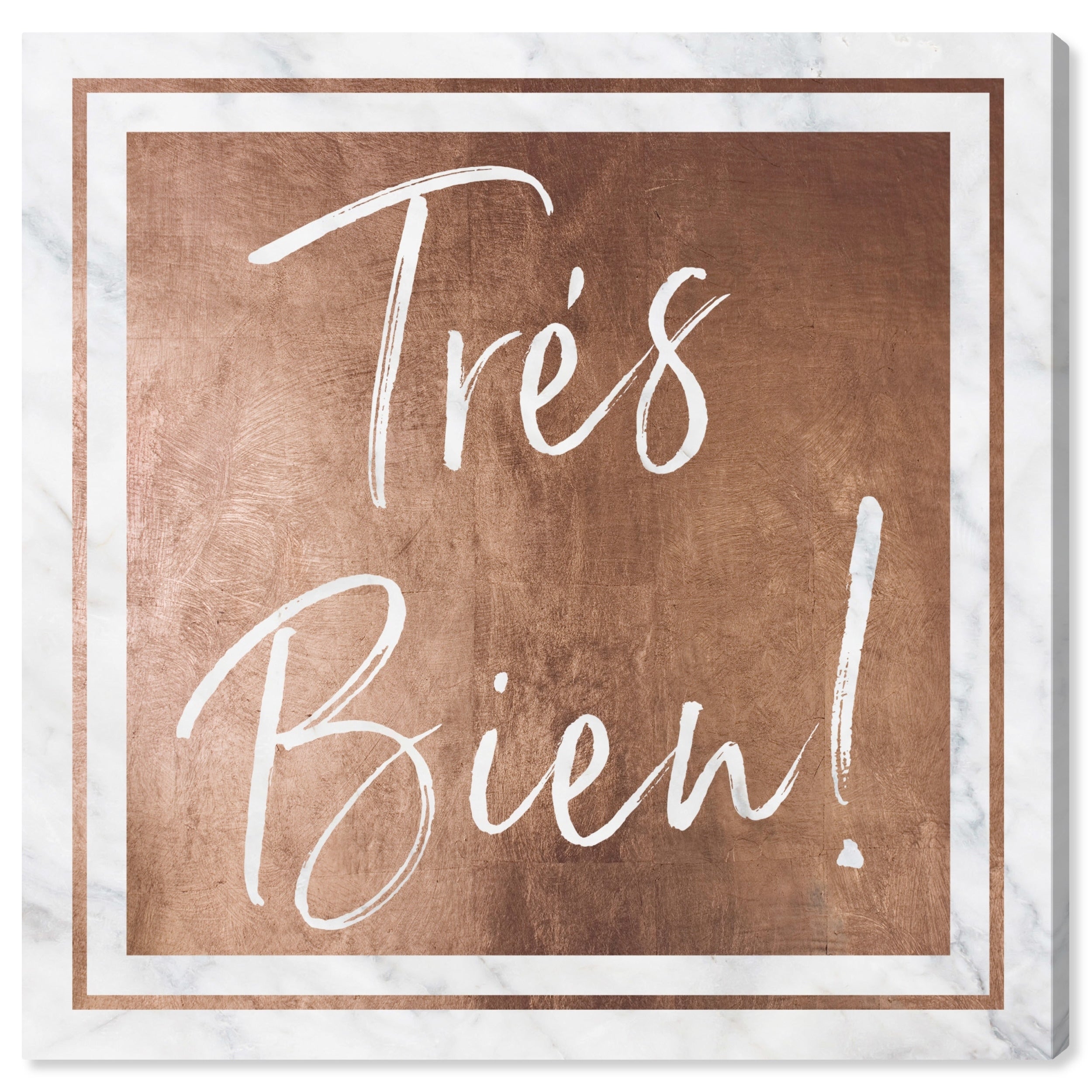 Oliver Gal 'Tres Bien Rose Gold' Typography and Quotes Wall Art Canvas Print - Pink, White thumbnail