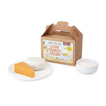Deluxe Dairy Free Cheese Making Kit – 10 Batches! DIY Vegan Cheddar, Mozzarella, Ricotta – All-Natural, Dairy-Free, Paleo, Gluten Free - Make Delicious Plant-Based Cheeses in Minutes - Woman-Owned Biz