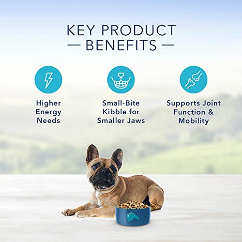 Blue Buffalo Life Protection Formula Natural Adult Small Breed Dry Dog Food, Chicken and Brown Rice 15-lb thumbnail