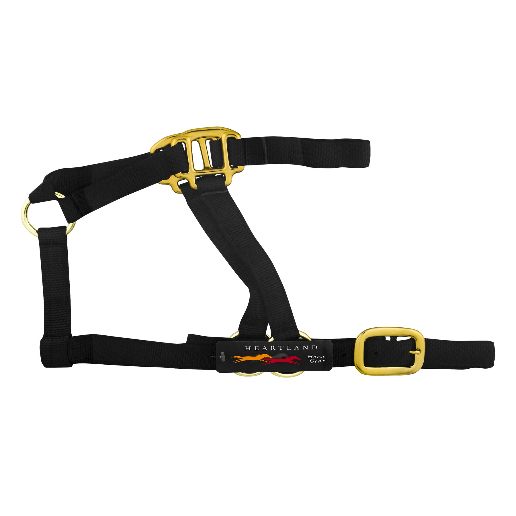 Heartland Horse Gear Classic Halter MD, 1.0 CT