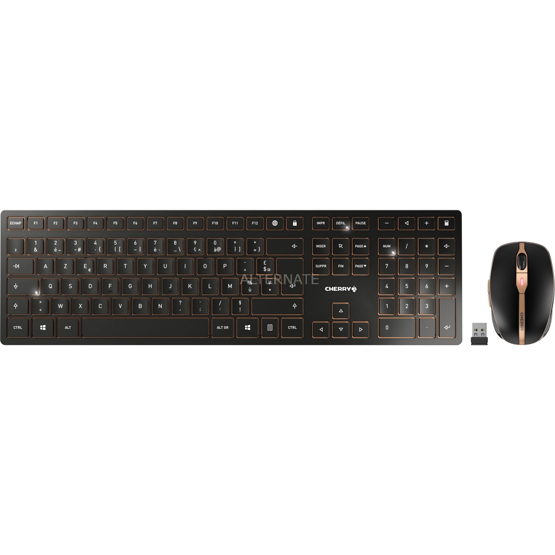 CHERRY JD-9100FR-2 Wireless Keyboard and Mouse Set AZERTY Black French