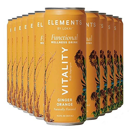 Natural Energy Drinks by Elements | Naturally-Flavored Ginger Orange with Rhodiola + Ginseng | Caffeine-Free, No Added Sugar, Low Calorie, Plant-Based