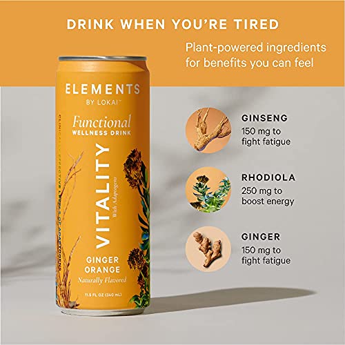 Natural Energy Drinks by Elements | Naturally-Flavored Ginger Orange with Rhodiola + Ginseng | Caffeine-Free, No Added Sugar, Low Calorie, Plant-Based thumbnail