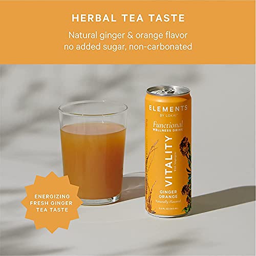 Natural Energy Drinks by Elements | Naturally-Flavored Ginger Orange with Rhodiola + Ginseng | Caffeine-Free, No Added Sugar, Low Calorie, Plant-Based thumbnail