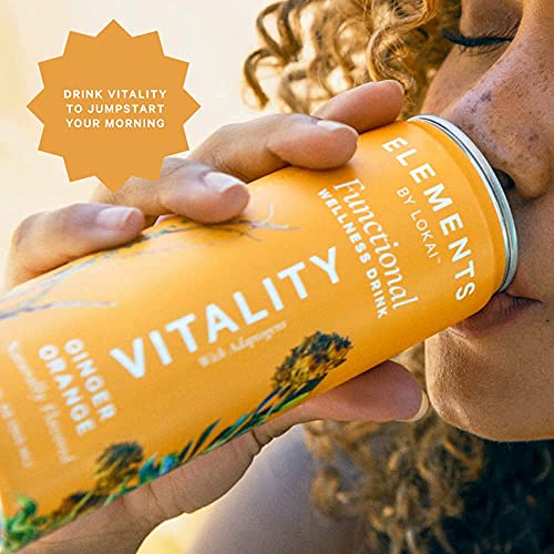 Natural Energy Drinks by Elements | Naturally-Flavored Ginger Orange with Rhodiola + Ginseng | Caffeine-Free, No Added Sugar, Low Calorie, Plant-Based thumbnail