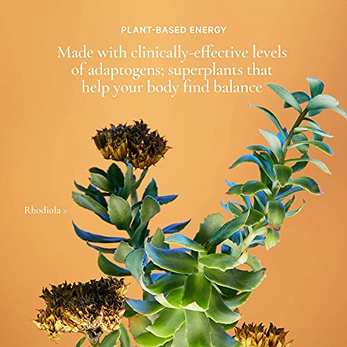 Natural Energy Drinks by Elements | Naturally-Flavored Ginger Orange with Rhodiola + Ginseng | Caffeine-Free, No Added Sugar, Low Calorie, Plant-Based thumbnail