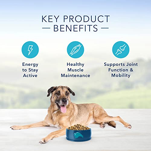 Blue Buffalo Life Protection Formula Senior Dry Dog Food  Chicken & Brown Rice  5lbs thumbnail