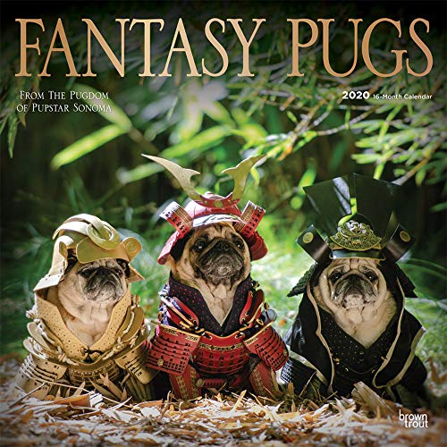 Fantasy Pugs 2020 12 X 12 Inch Monthly Square Wall Calendar with Foil Stamped Cover by Wyman, Funny Animals
