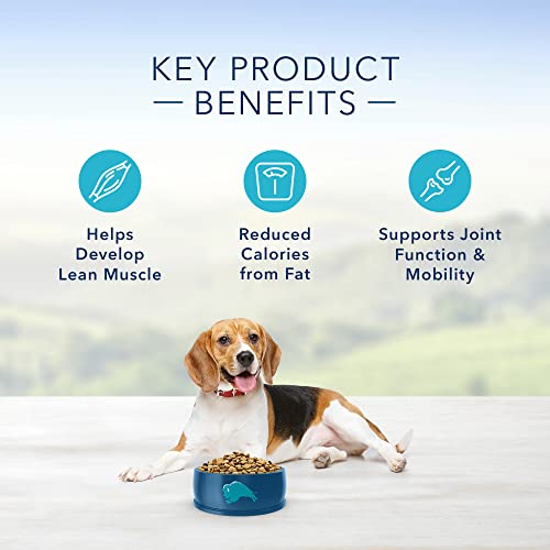 Blue Buffalo Life Protection Formula Adult Healthy Weight Dry Dog Food 5 Lbs thumbnail