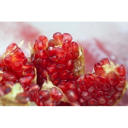 Pomegranate on the Street Raw or Made Into Juice Bangkok Thailand Canvas Art - Cindy Miller Hopkins DanitaDelimont (22 X 15)