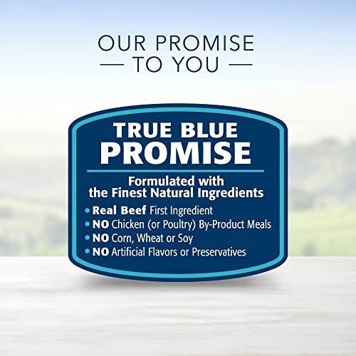 Blue Buffalo Life Protection Formula Natural Dry Dog Food  Beef & Brown Rice  5-lb. Bag thumbnail