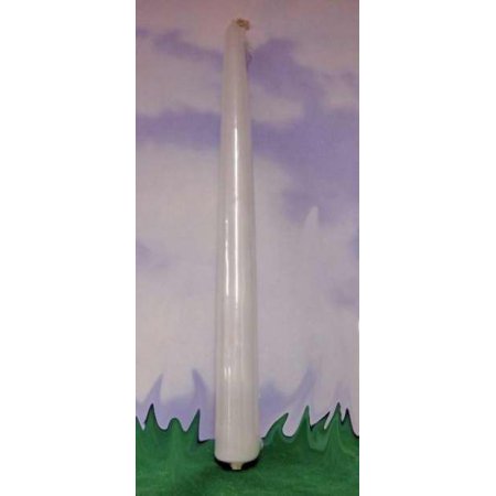 Candle-All Occasion Tapers-White (10 X 7/8 ) (Pack of 12) (#6051-23)