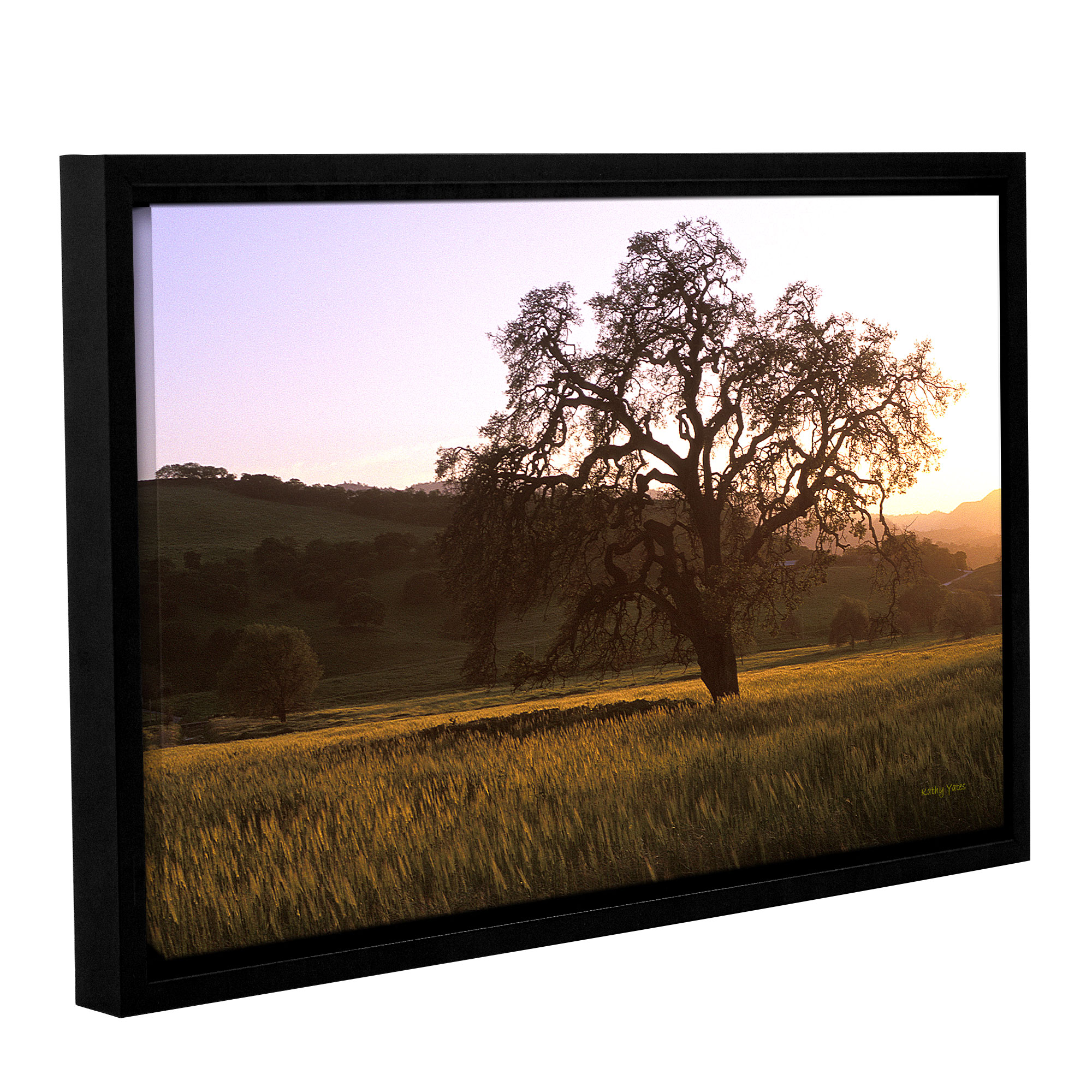 Golden Hour  Gallery Wrapped Floater-framed Canvas Art Print  16x24