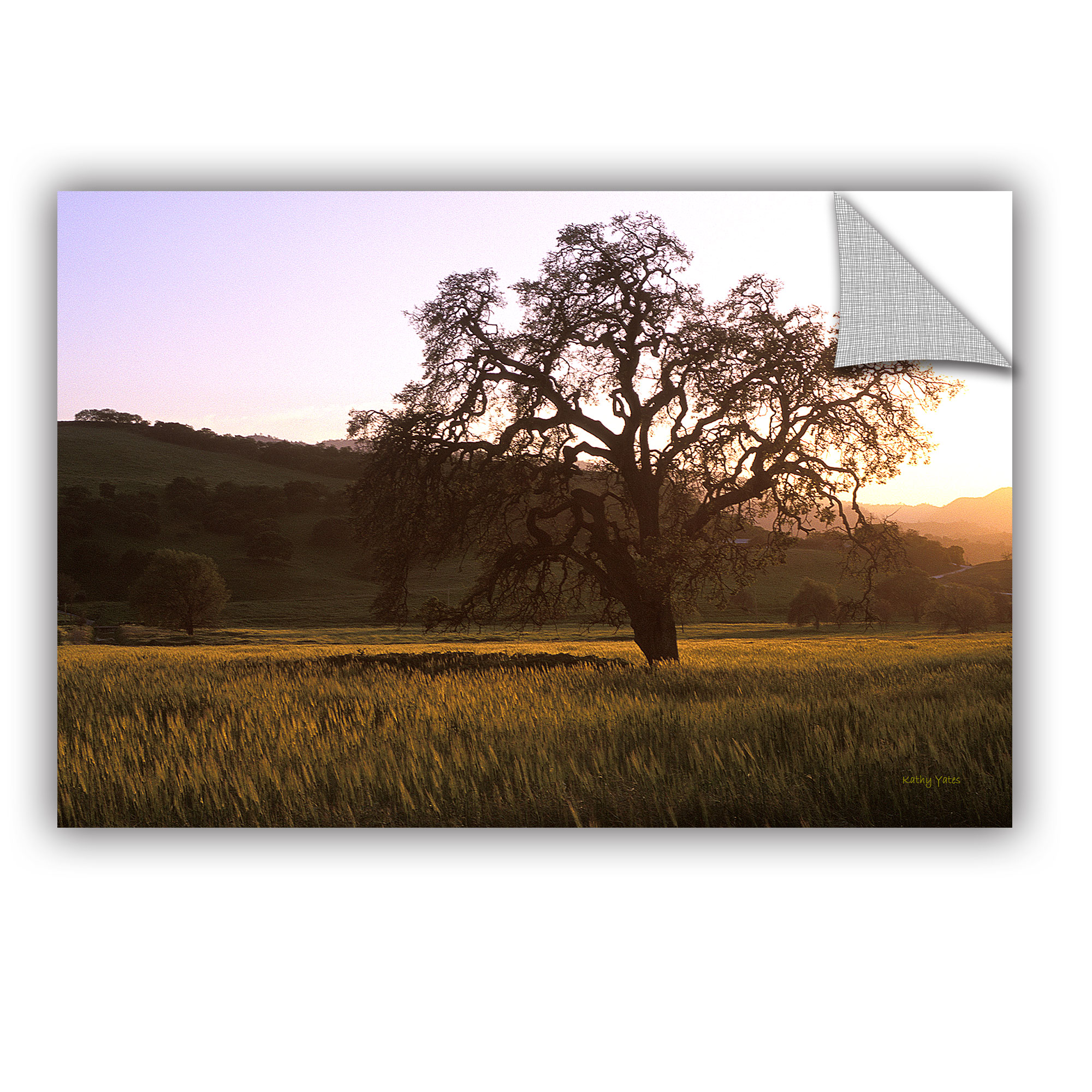 ''Golden Hour' Removable Wall Art Mural, 16x24