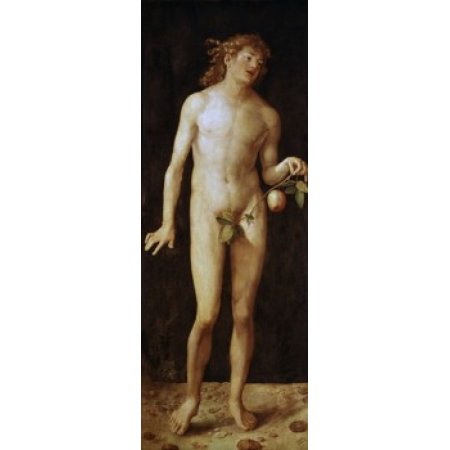 Adam 1507 Albrecht Durer (1471-1528 German) Oil on Wood Panel Museo Del Prado Madrid Spain Canvas Art - Albrecht Durer (24 X 36)