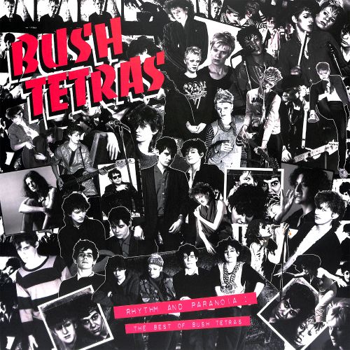 Bush Tetras - Rhythm & Paranoia: the Best of Bush Tetras (Vinyl)