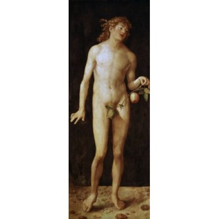 Adam 1507 Albrecht Durer (1471-1528 German) Oil on Wood Panel Museo Del Prado Madrid Spain Canvas Art - Albrecht Durer (18 X 24)