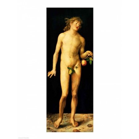 Adam 1507 Canvas Art - Albrecht Durer (18 X 24)