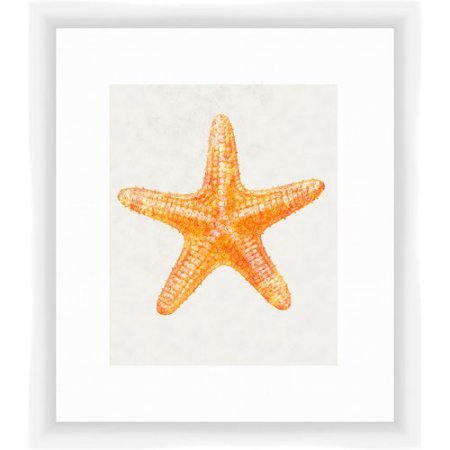 PTM Images 12 in. X 10 in. ''Splashy Flower I'' by Canvas Wall Art, Multicolored