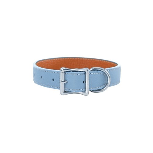 Auburn Leathercrafters AULC-16264 Tuscan Leather Dog Collar Light Blue - 0.5 X 10 in.