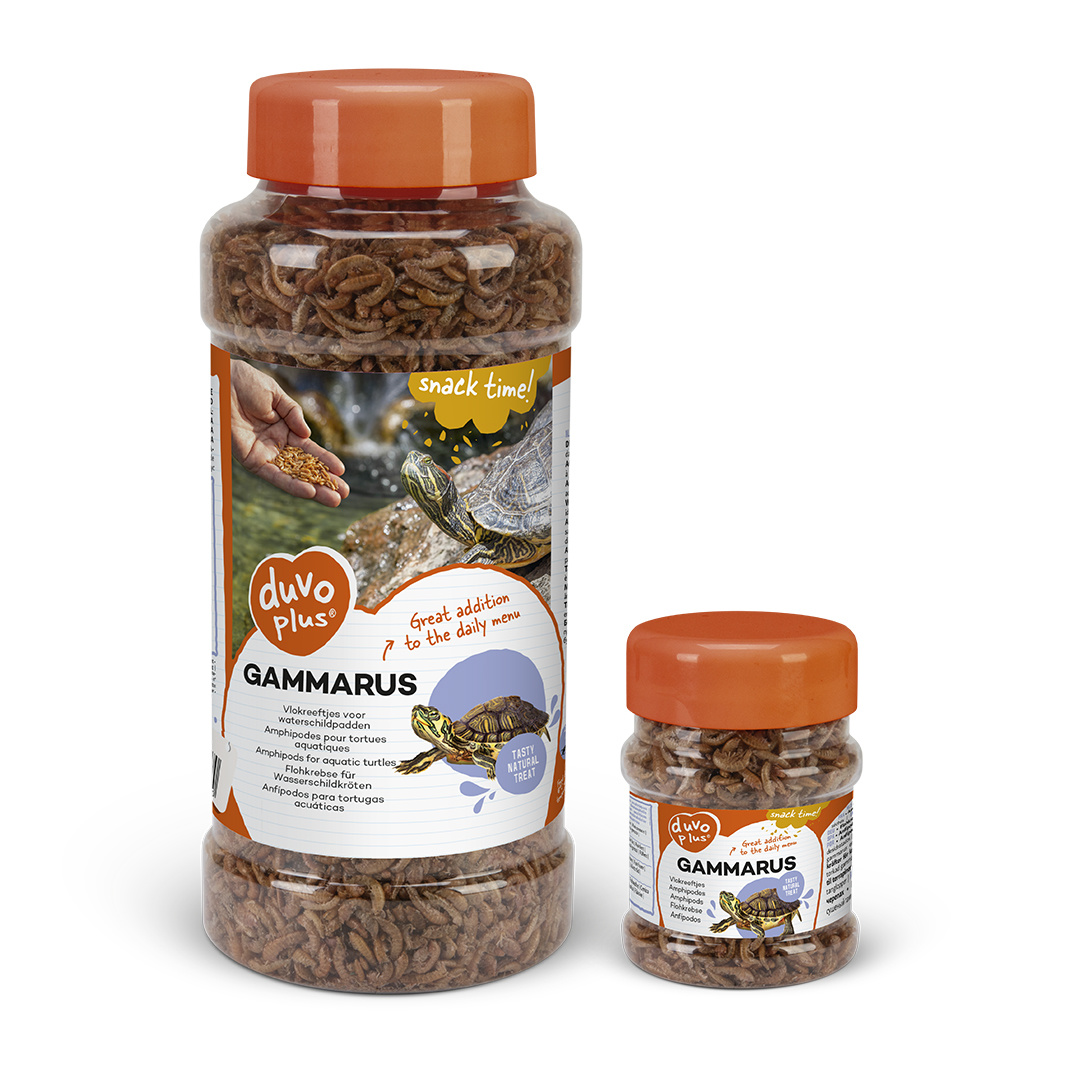 Food for Gammarid Turtles Duvoplus