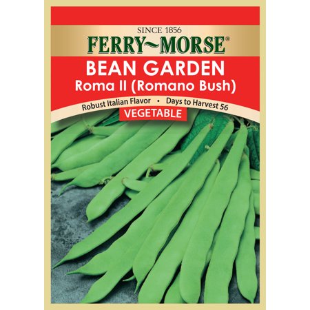 Vegetable Seed Bean-Romano Bush