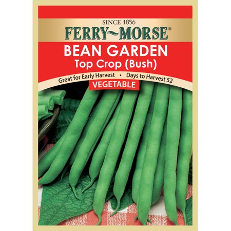 Ferry-Morse 9G Bean  Garden Top Crop (Bush) Vegetable Plant Seeds Packet