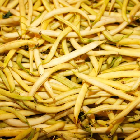 Top Notch Golden Wax Bush Beans - 1 Lb - Non-GMO  Heirloom - Vegetable Garden Seeds - Gold