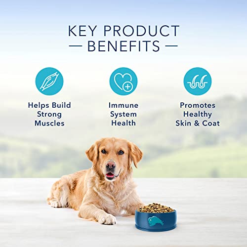 Blue Buffalo Life Protection Formula Adult Dry Dog Food  Chicken & Brown Rice  5 Lbs thumbnail