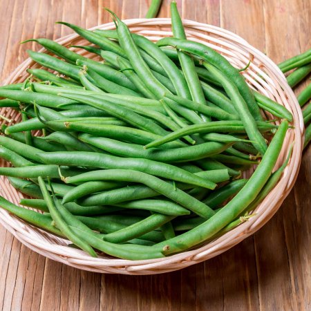 Harvester Bush Bean Seeds - 25 Lb Bulk - Non-GMO  Heirloom Green Bean Seeds - Vegetable Garden Seeds