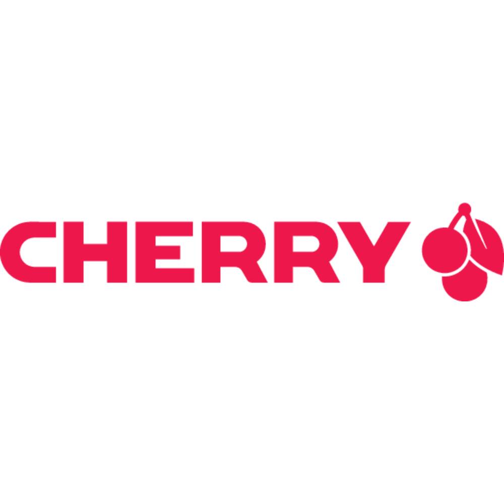 CHERRY DW 9100 SLIM Keyboard Mouse Included Universal RF Wireless + Bluetooth AZERTY French Silver