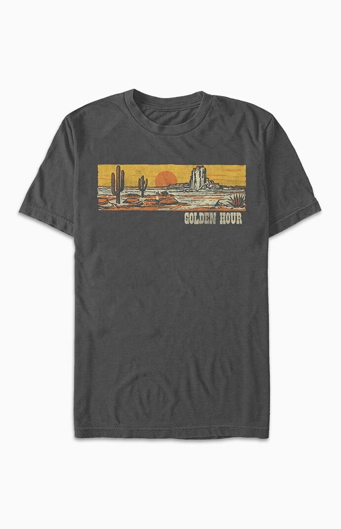 FUTURE IS COLOR Mens Golden Hour T-Shirt - Gray Size Large
