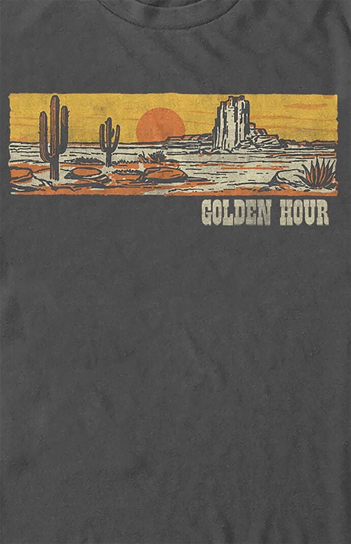 FUTURE IS COLOR Mens Golden Hour T-Shirt - Gray Size Large thumbnail
