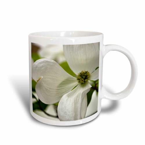 Purity - White Dogwood Flower - Spring Flowering Trees 11oz Mug Mug-51848-1