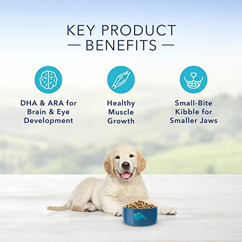 Blue Buffalo Life Protection Formula Puppy Dry Dog Food  Chicken & Brown Rice  5 Lbs thumbnail