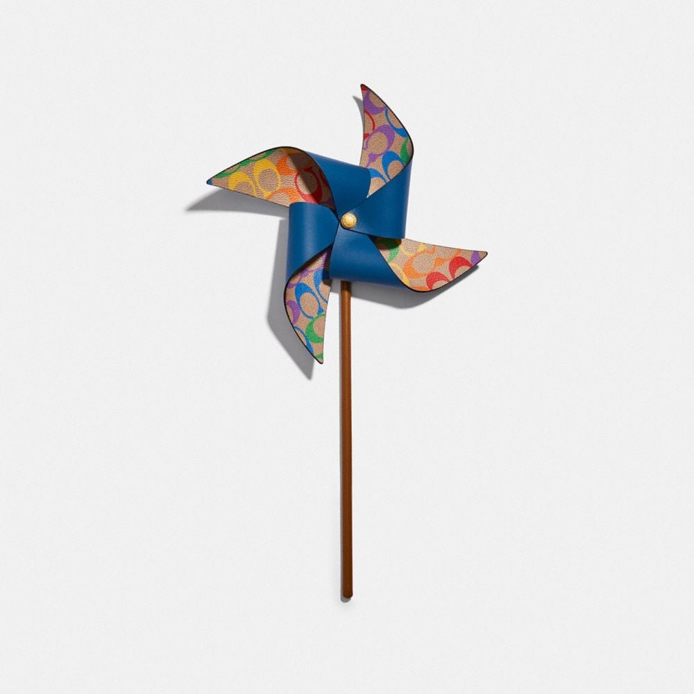 Pinwheel in Rainbow Signature Canvas