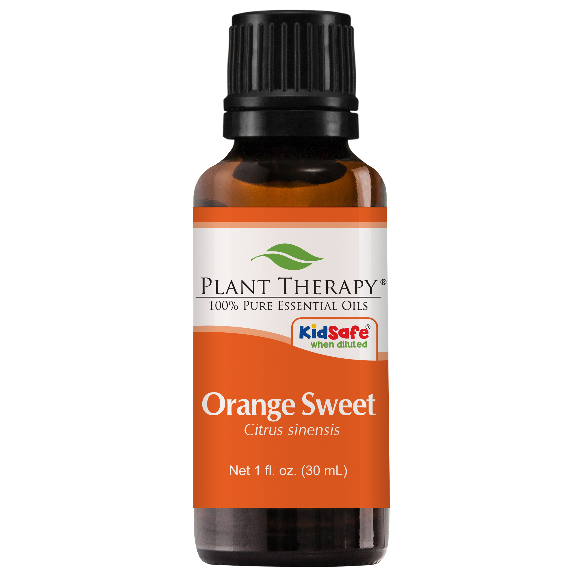 Plant Therapy Sweet Orange Essential Oil 100% Pure  Undiluted  Natural Aromatherapy  Therapeutic Grade 30 ML (1 Oz)