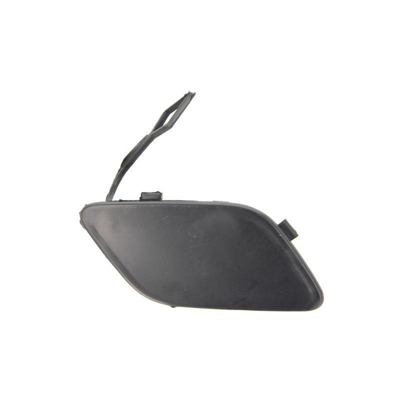 BLIC Cover, Towhook 5513-00-3506920P Left Front