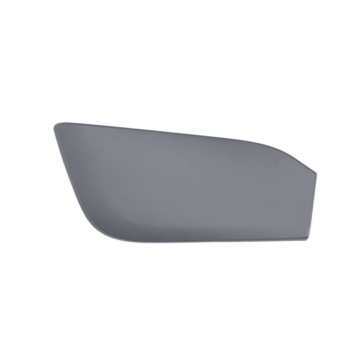BLIC 5513-00-0095972P Trim-/Protection Strip, Bumper Lower