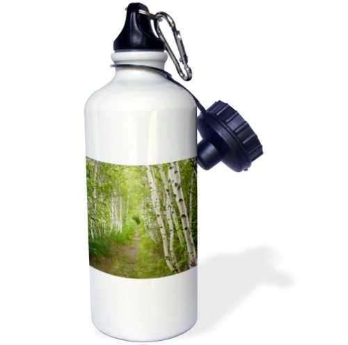 Paper Birch Trees  Path  Acadia NP  Maine - US20 JMO0986 - Jerry and Marcy Monkman 21 Oz Sports Water Bottle Wb-90692-1