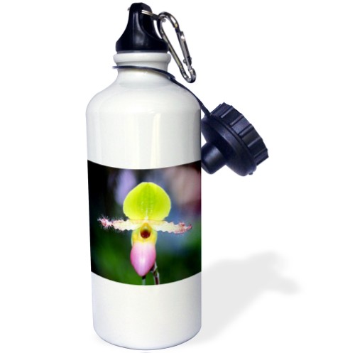 ORCHID - I 21 Oz Sports Water Bottle Wb-8994-1