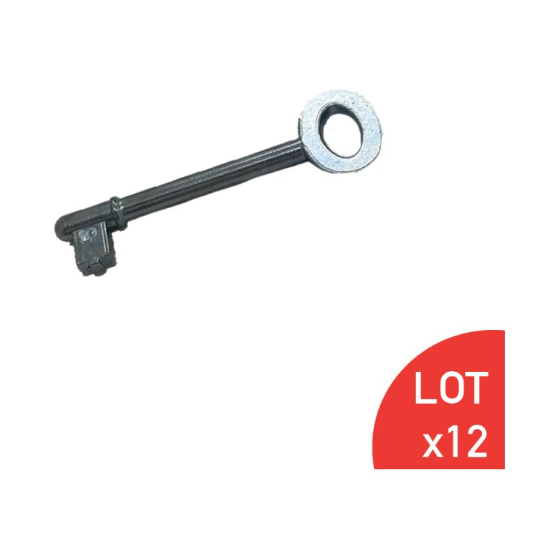 Clé ébauche Brute Pour Serrure 3105/3107/5509/5510 LOT DE 12