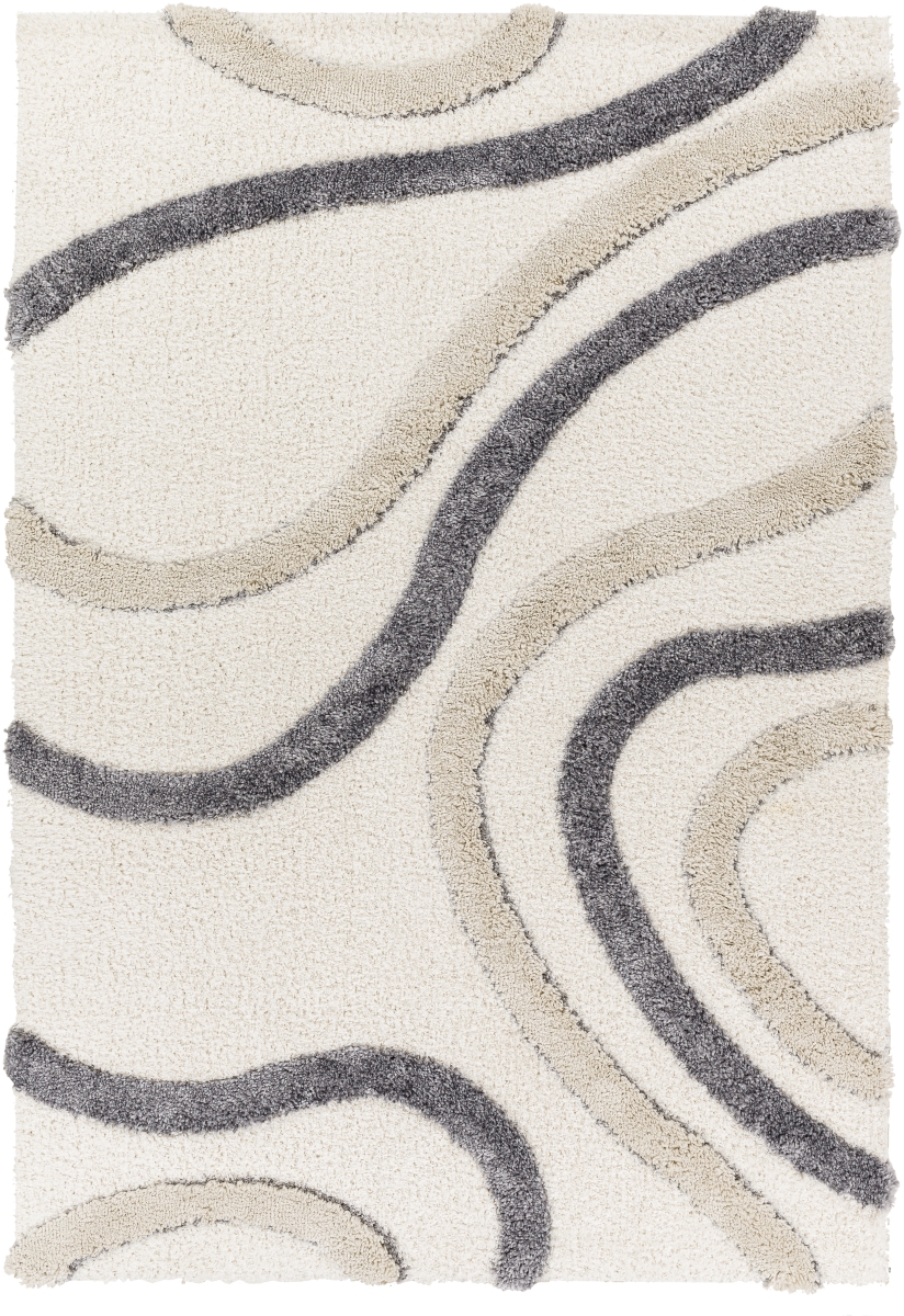 Hudson Shag HDS-2313 Machine Crafted Area Rug