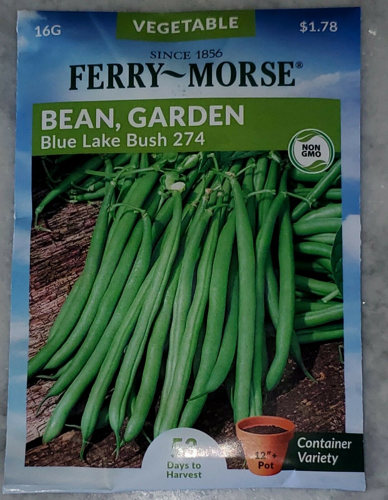 Bean, Garden | NON-GMO | Blue Lake Bush 274