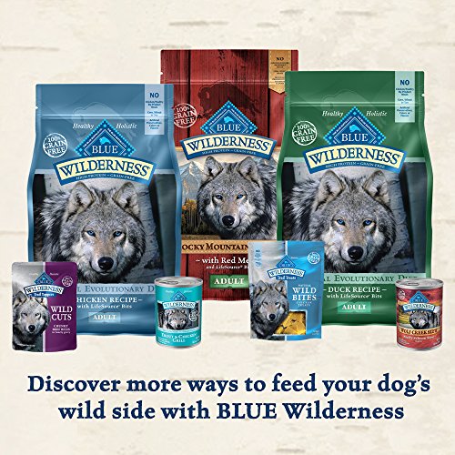 Wilderness Blue Buffalo Chicken Roll Wet Dog Food, 1 Lb thumbnail