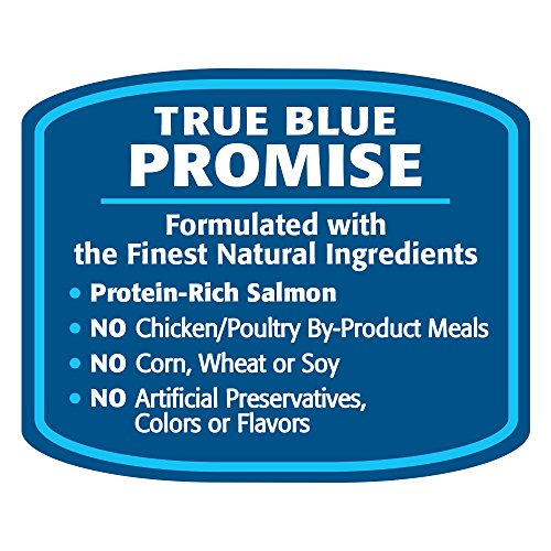 Wilderness Blue Buffalo Salmon Roll Wet Dog Food, 1 Lb thumbnail